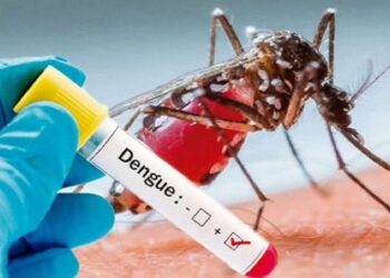 डेंगू पर होगी रोकथाम, रिम्स में क्लीनिकल ट्रायल शुरू