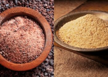 काला नमक और हींग: सेहत के लिए अमृत, जानें इनके चमत्कारी फायदे
