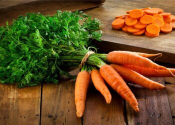 अगर आप भी कर करे गाजर का सेवन, तो जरा ध्यान से नहीं तो होगा भारी नुकसान